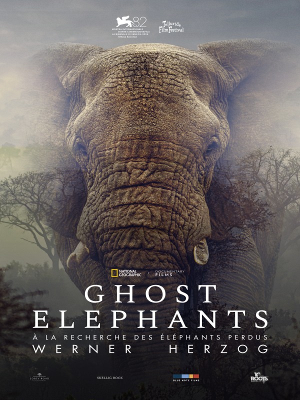 affiche GHOST ELEPHANTS Werner Herzog