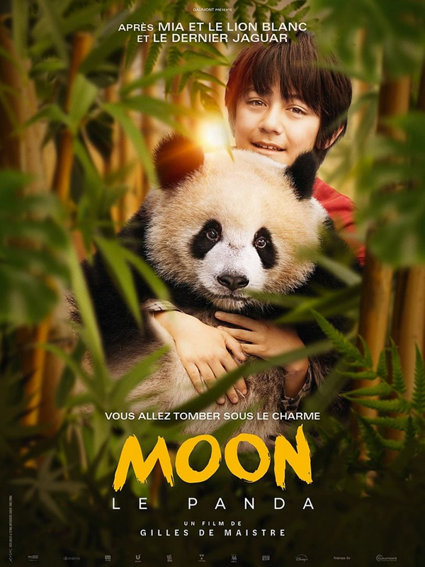 affiche MOON LE PANDA Gilles de Maistre